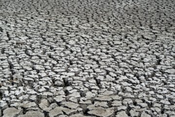 DIY seismograph subject — dry cracked earth ground texture